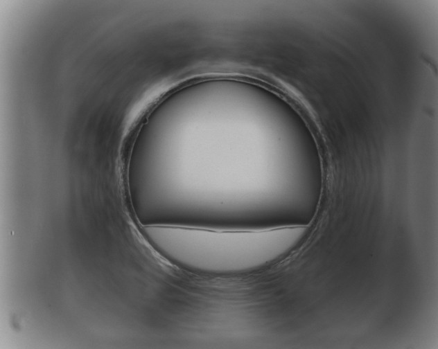 X0000100371464200806060750