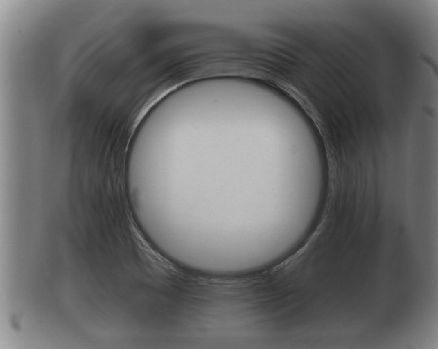 X0000100371465200806060750