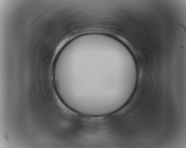 X0000100371466200806060750
