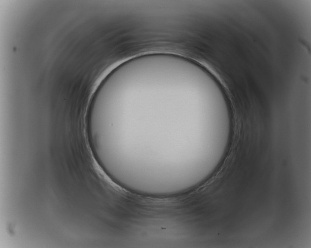 X0000100371468200806060750
