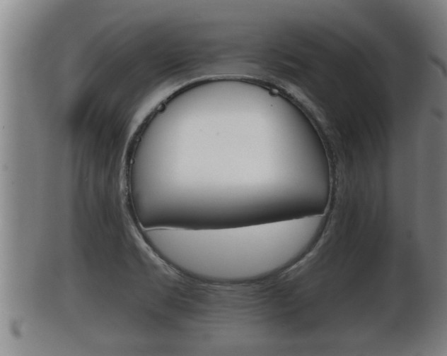 X0000100371469200806060750