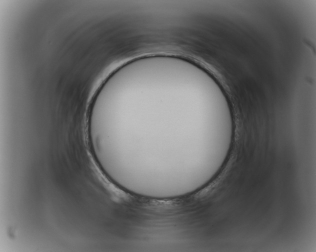 X0000100371470200806060750