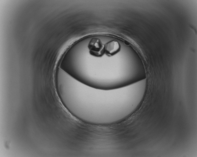 X0000100371472200806060750