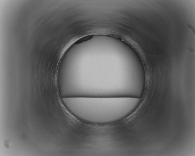 X0000100371473200806060750