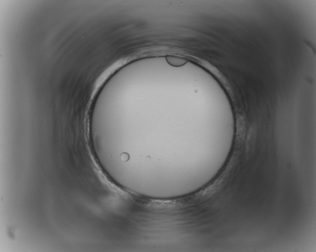 X0000100371474200806060750