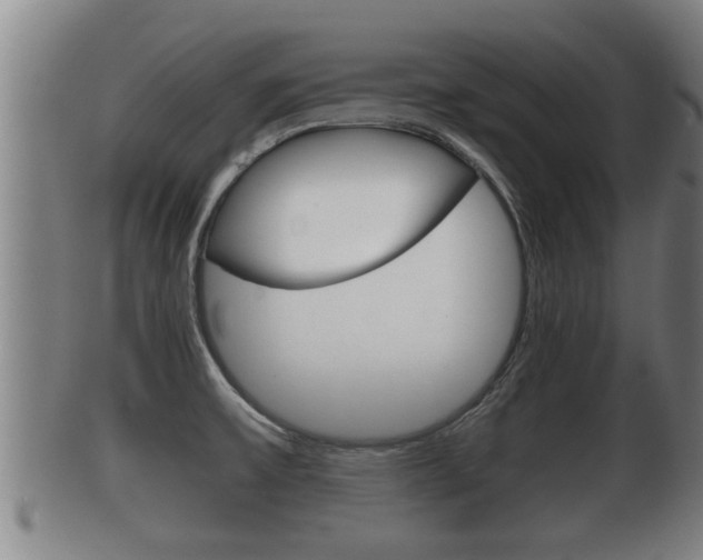 X0000100371475200806060750