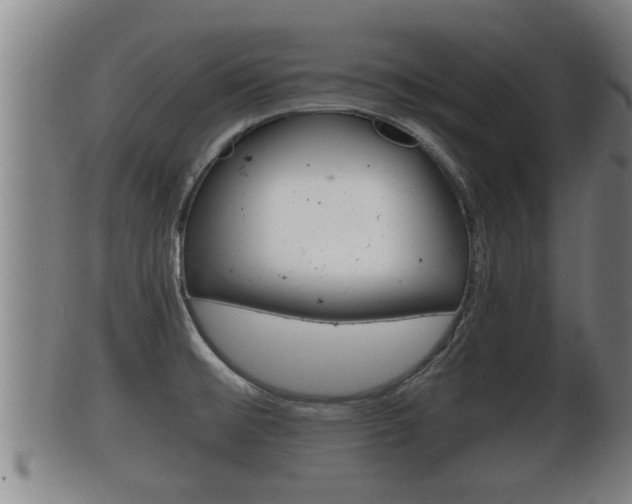 X0000100371476200806060750