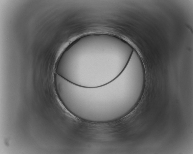 X0000100371477200806060750