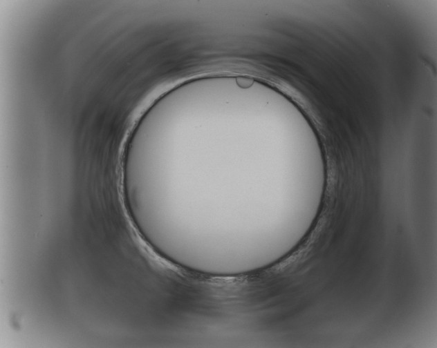 X0000100371478200806060750