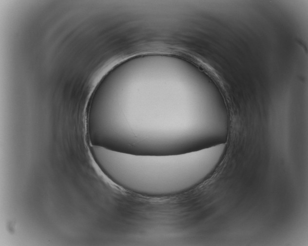 X0000100371479200806060750