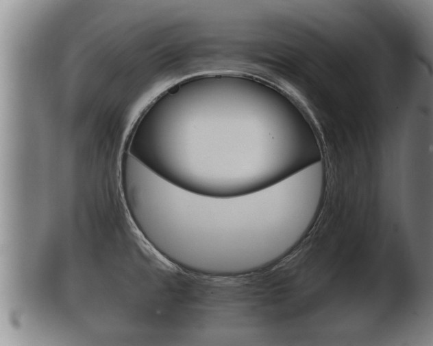 X0000100371480200806060750