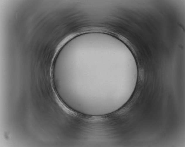X0000100371482200806060750