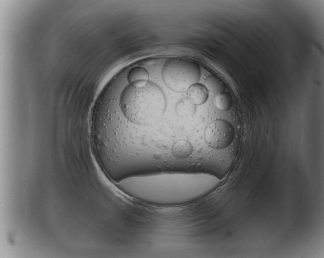 X0000100371483200806060750
