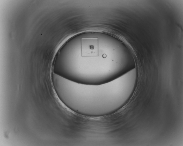 X0000100371484200806060750