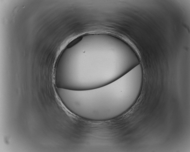 X0000100371485200806060750