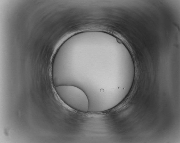 X0000100371486200806060750