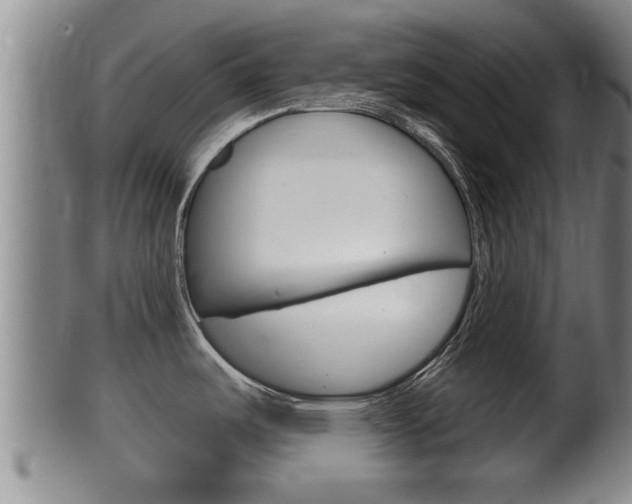 X0000100371487200806060750
