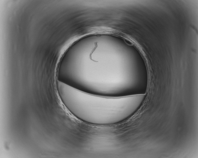 X0000100371488200806060750