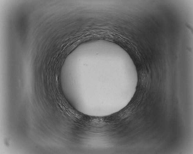 X0000100371489200806060749