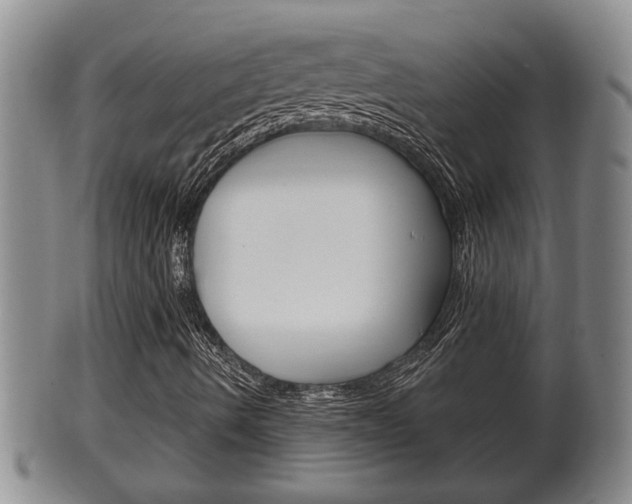 X0000100371490200806060749