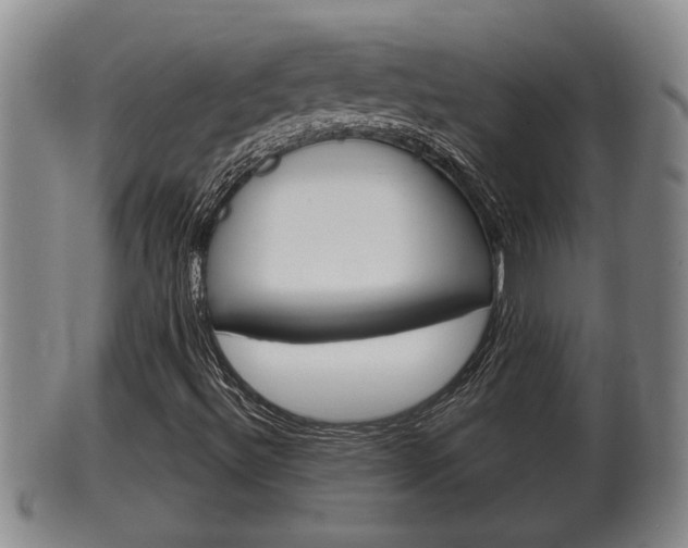 X0000100371492200806060749