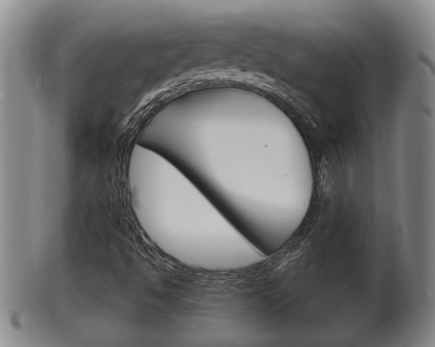 X0000100371494200806060749