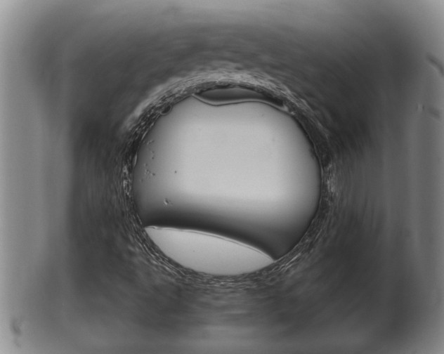 X0000100371495200806060749