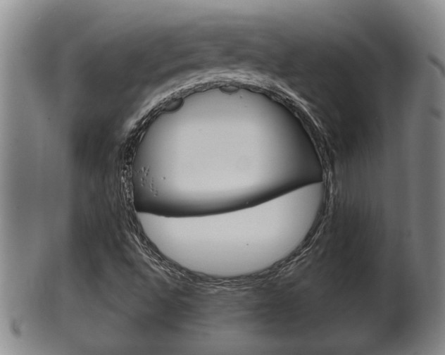 X0000100371496200806060749