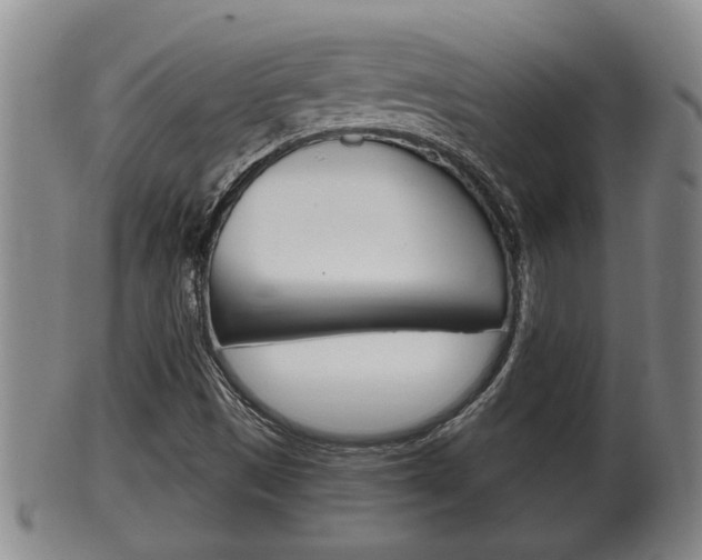 X0000100371497200806060749