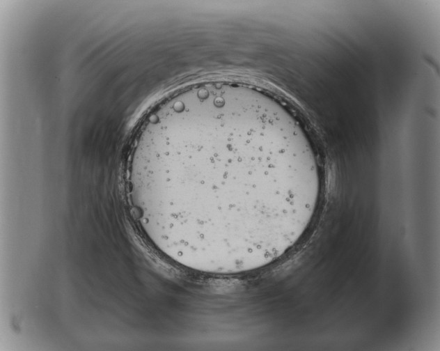 X0000100371498200806060749
