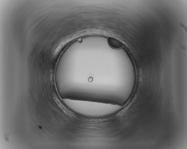 X0000100371499200806060749