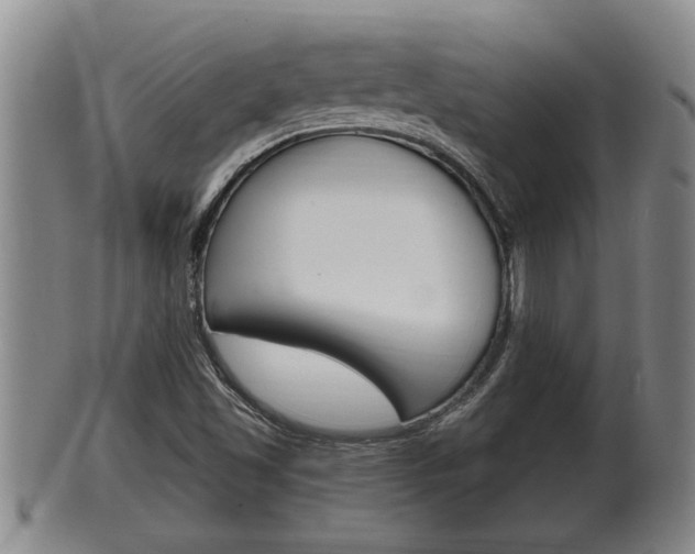 X0000100371501200806060749