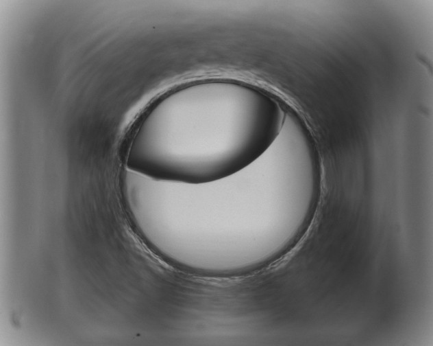 X0000100371502200806060749