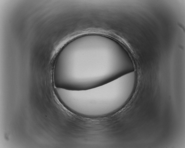 X0000100371504200806060749