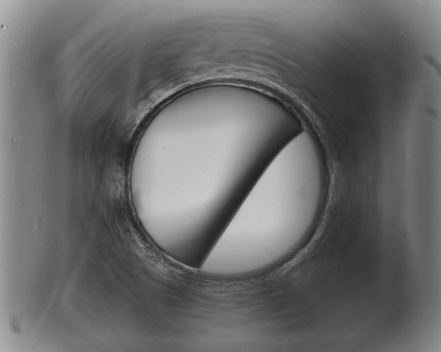 X0000100371505200806060749