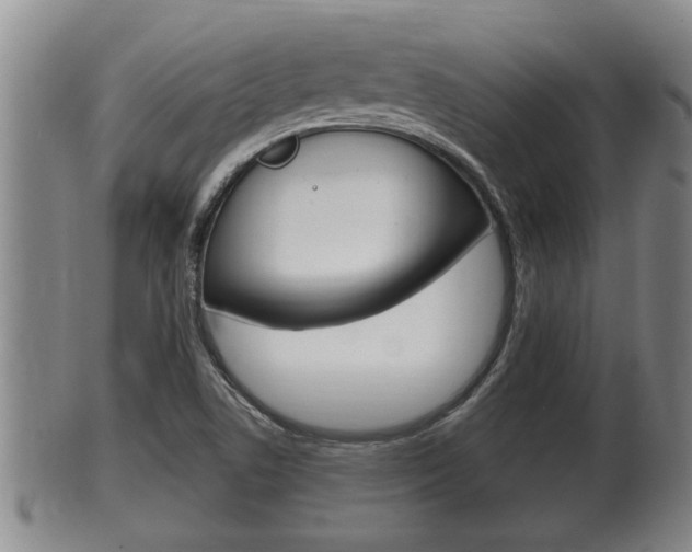 X0000100371506200806060749