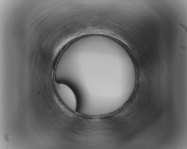 X0000100371507200806060749