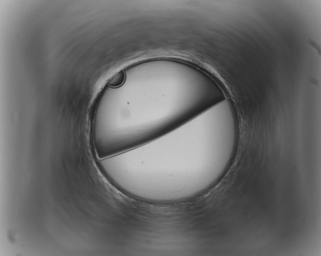 X0000100371508200806060749