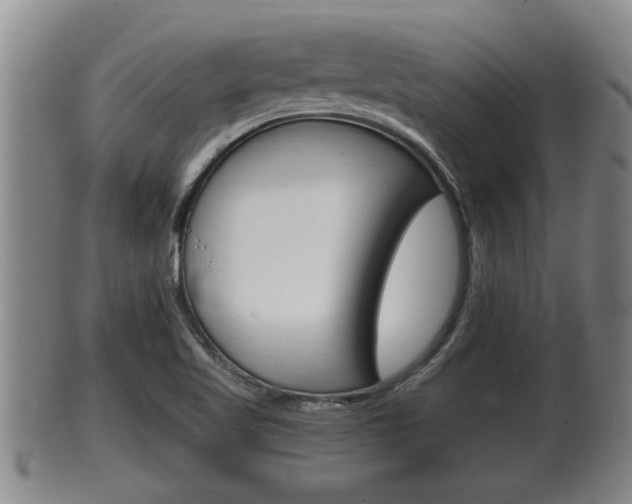X0000100371509200806060749