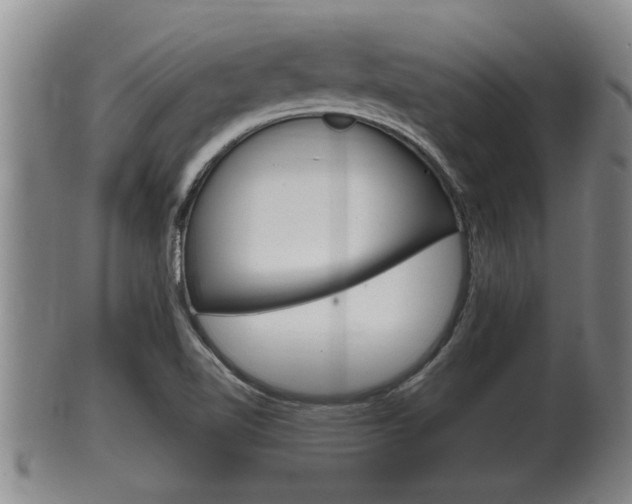 X0000100371510200806060749