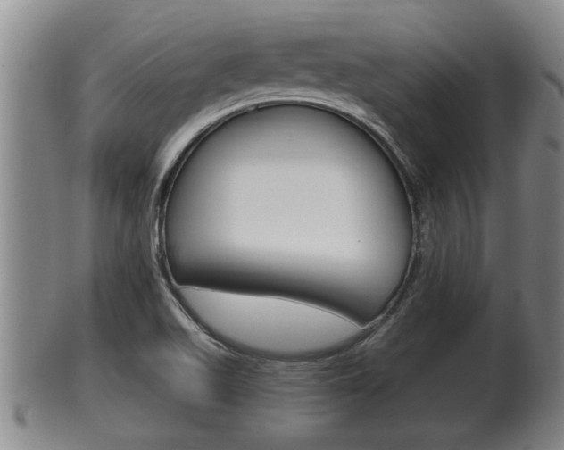 X0000100371511200806060749