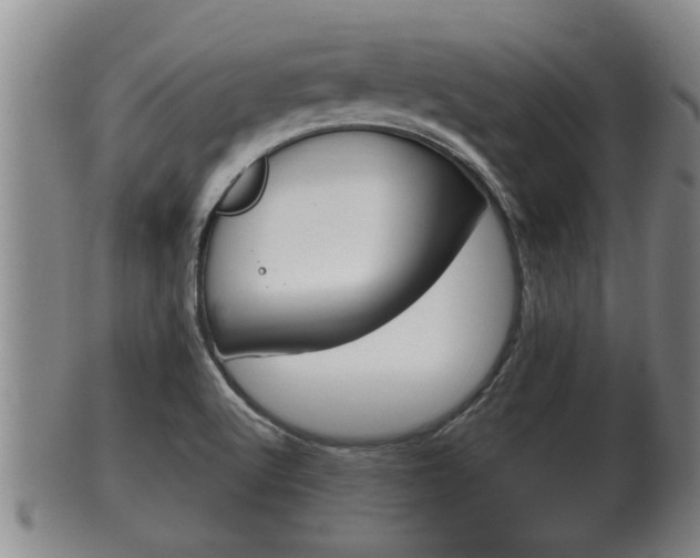 X0000100371512200806060749