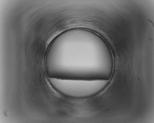 X0000100371513200806060749