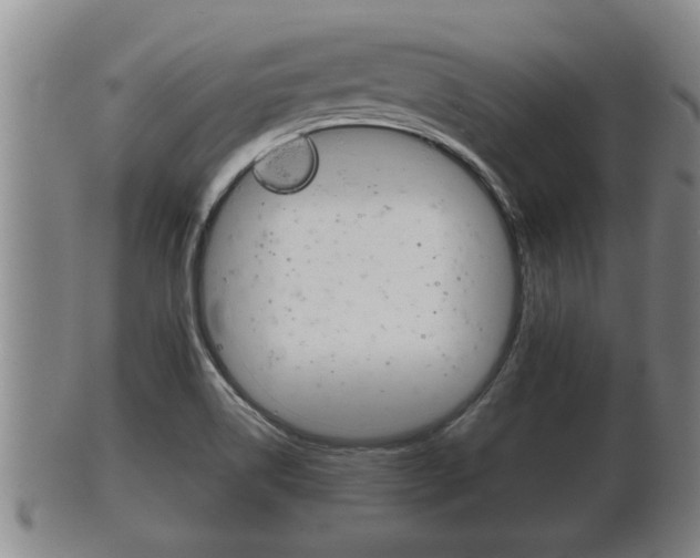 X0000100371514200806060749