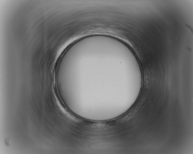 X0000100371515200806060749