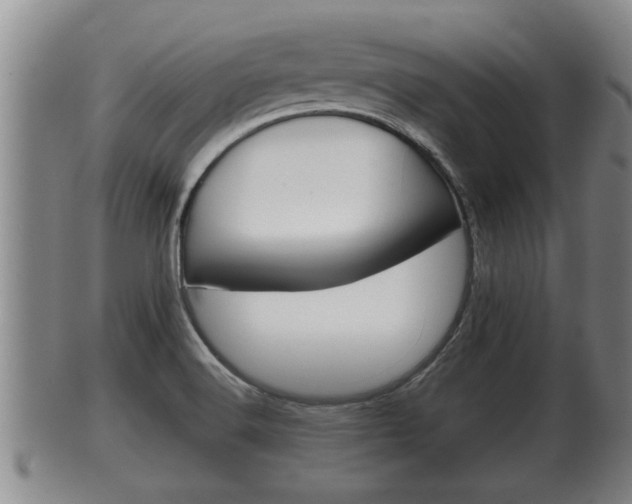 X0000100371516200806060749
