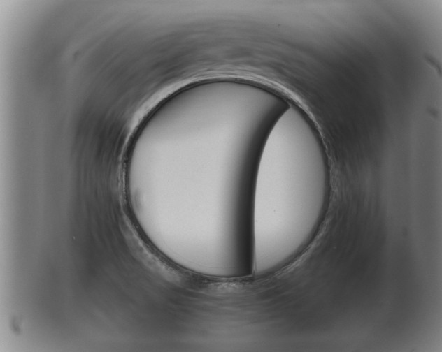 X0000100371517200806060749