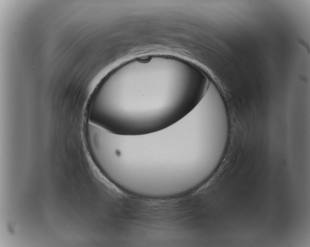 X0000100371518200806060749