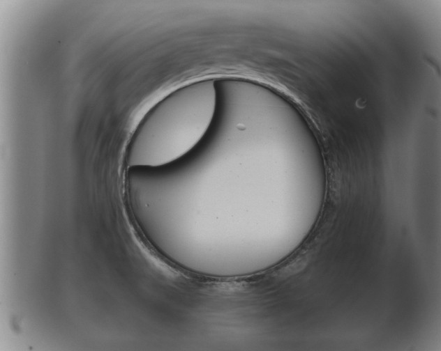 X0000100371519200806060749