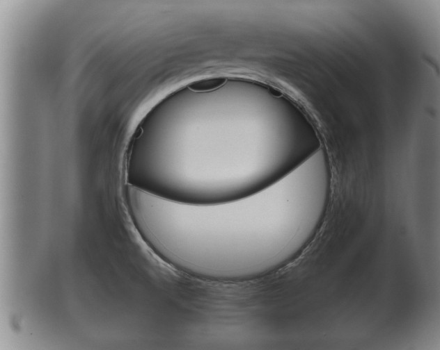 X0000100371520200806060749